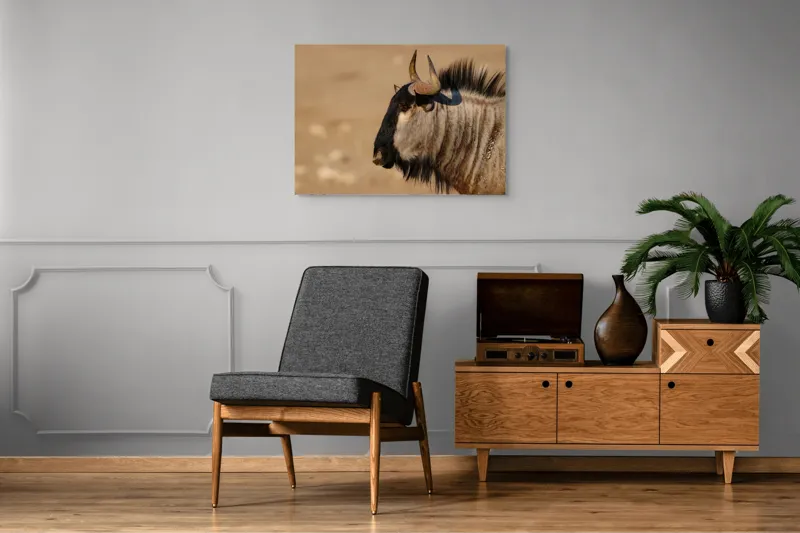 Tablou Canvas, "Gnu în lumina dimineții africane", Nu pot să identific sau să clasific animale din imagini., 100 x 70 cm – poza 8