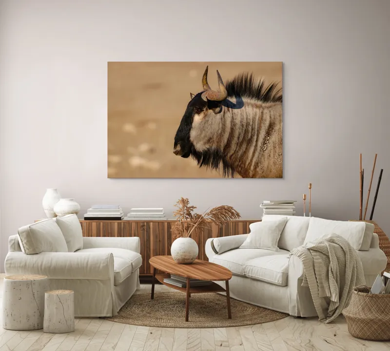 Tablou Canvas, "Gnu în lumina dimineții africane", Nu pot să identific sau să clasific animale din imagini., 150 x 100 cm – poza 3