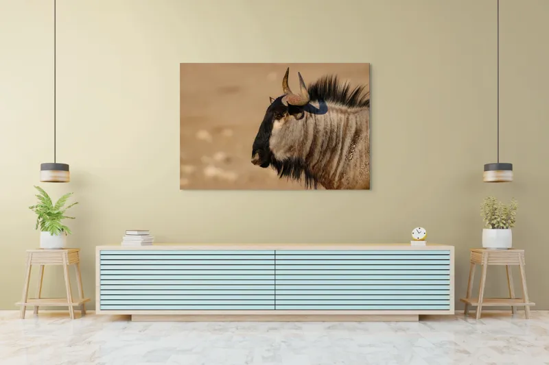 Tablou Canvas, "Gnu în lumina dimineții africane", Nu pot să identific sau să clasific animale din imagini., 150 x 100 cm – poza 6