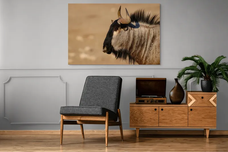 Tablou Canvas, "Gnu în lumina dimineții africane", Nu pot să identific sau să clasific animale din imagini., 150 x 100 cm – poza 8