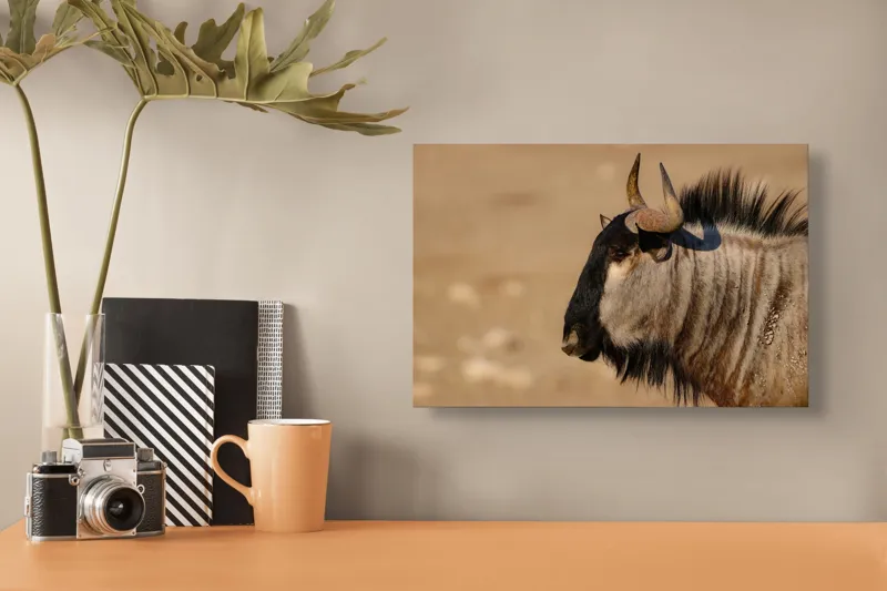 Tablou Canvas, "Gnu în lumina dimineții africane", Nu pot să identific sau să clasific animale din imagini., 39 x 26 cm – poza 3