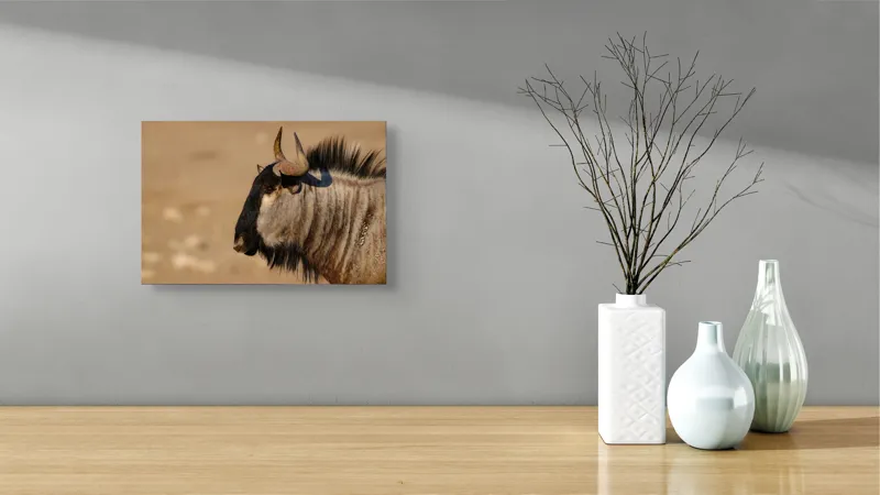 Tablou Canvas, "Gnu în lumina dimineții africane", Nu pot să identific sau să clasific animale din imagini., 39 x 26 cm – poza 8