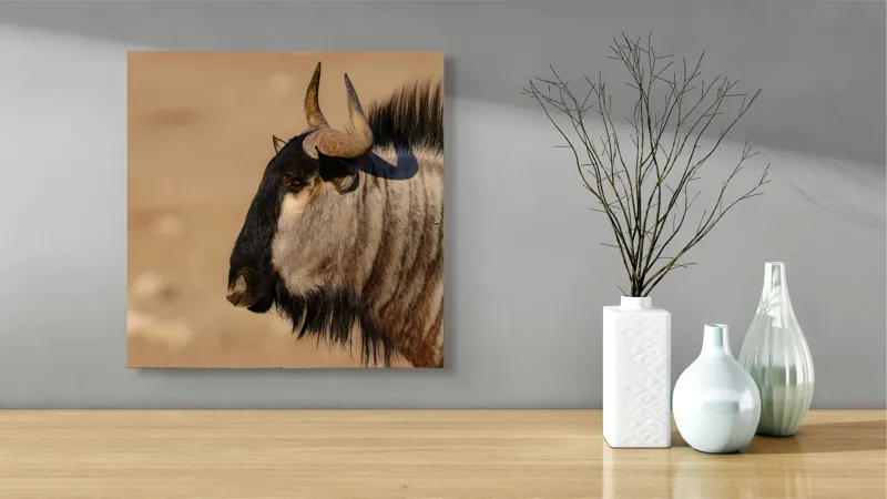 Tablou Canvas, "Gnu în lumina dimineții africane", 50 x 50 cm – poza 3