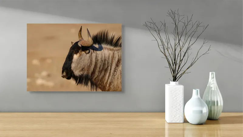 Tablou Canvas, "Gnu în lumina dimineții africane", Nu pot să identific sau să clasific animale din imagini., 54 x 39 cm – poza 3