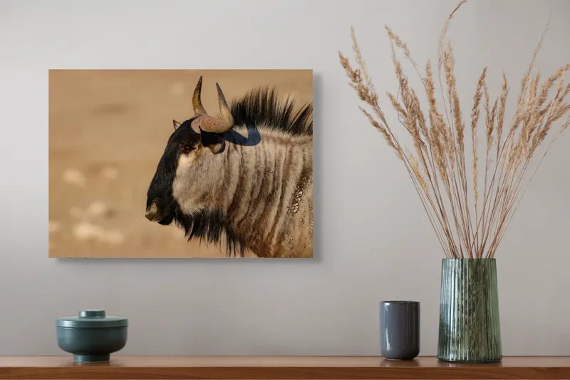 Tablou Canvas, "Gnu în lumina dimineții africane", Nu pot să identific sau să clasific animale din imagini., 54 x 39 cm – poza 4