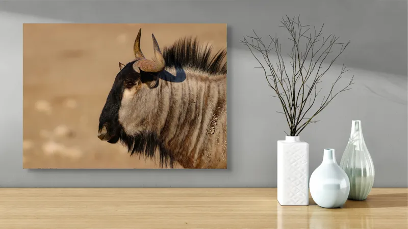 Tablou Canvas, "Gnu în lumina dimineții africane", Nu pot să identific sau să clasific animale din imagini., 70 x 50 cm – poza 3