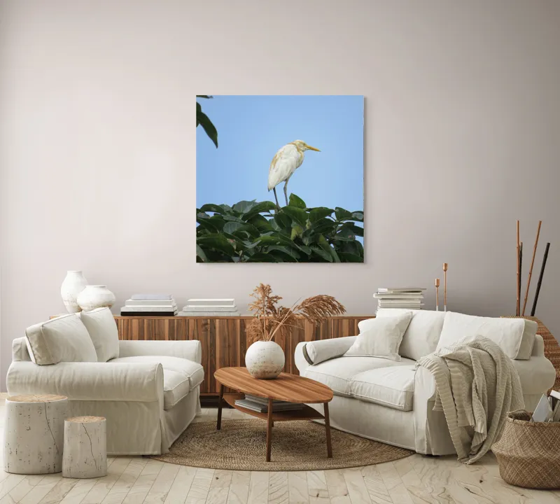 Tablou Canvas, "Egreta pe fondul cerului senin", Pasăre, Frunze, Cer, Albastru, Lumină, Natural, Verde, Galben, Pene, Vârf, 100 x 100 cm – poza 3