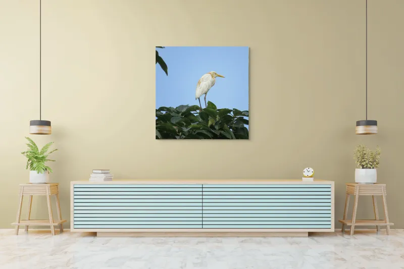 Tablou Canvas, "Egreta pe fondul cerului senin", Pasăre, Frunze, Cer, Albastru, Lumină, Natural, Verde, Galben, Pene, Vârf, 100 x 100 cm – poza 5
