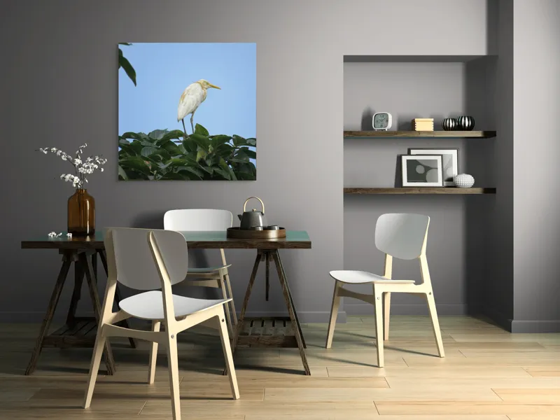 Tablou Canvas, "Egreta pe fondul cerului senin", Pasăre, Frunze, Cer, Albastru, Lumină, Natural, Verde, Galben, Pene, Vârf, 100 x 100 cm – poza 6