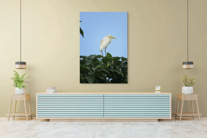 Tablou Canvas, "Egreta pe fondul cerului senin", Pasăre, Frunze, Cer, Albastru, Lumină, Natural, Verde, Galben, Pene, Vârf, 100 x 150 cm – poza 4