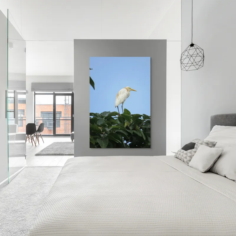 Tablou Canvas, "Egreta pe fondul cerului senin", Pasăre, Frunze, Cer, Albastru, Lumină, Natural, Verde, Galben, Pene, Vârf, 100 x 150 cm – poza 5