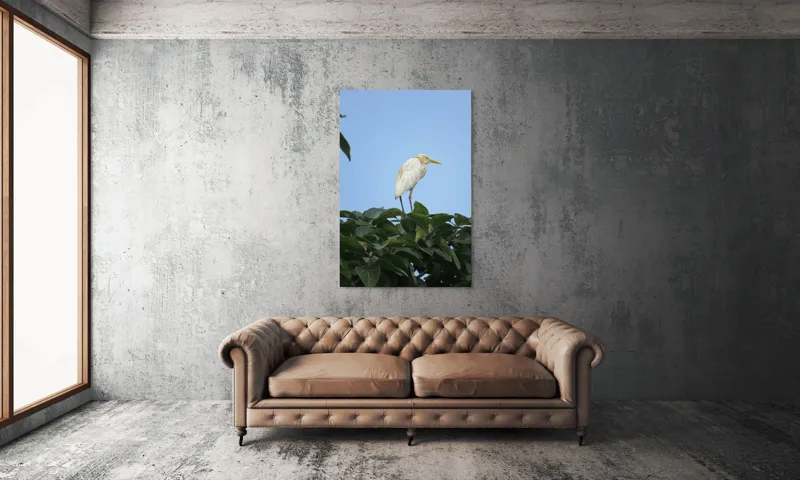 Tablou Canvas, "Egreta pe fondul cerului senin", Pasăre, Frunze, Cer, Albastru, Lumină, Natural, Verde, Galben, Pene, Vârf, 100 x 150 cm – poza 6