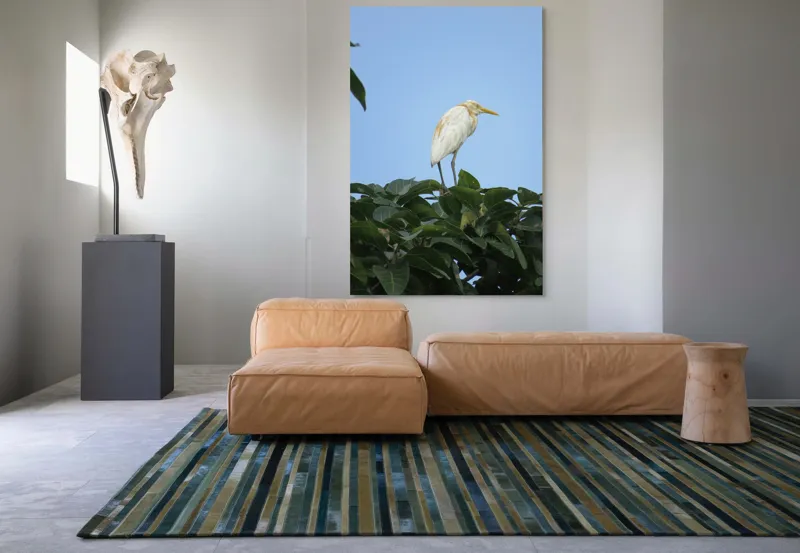 Tablou Canvas, "Egreta pe fondul cerului senin", Pasăre, Frunze, Cer, Albastru, Lumină, Natural, Verde, Galben, Pene, Vârf, 100 x 150 cm – poza 7