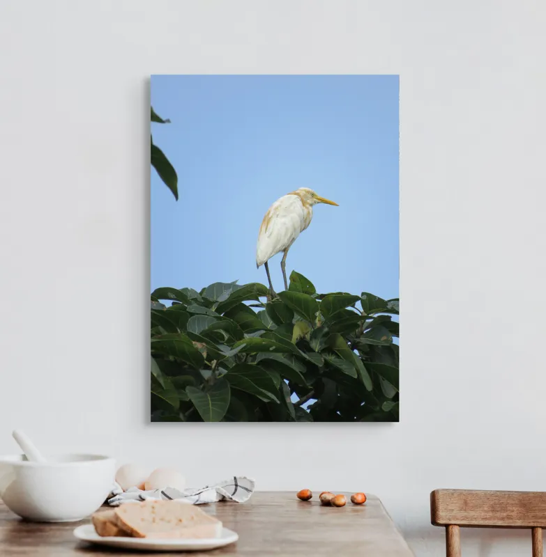 Tablou Canvas, "Egreta pe fondul cerului senin", Pasăre, Frunze, Cer, Albastru, Lumină, Natural, Verde, Galben, Pene, Vârf, 50 x 70 cm – poza 3
