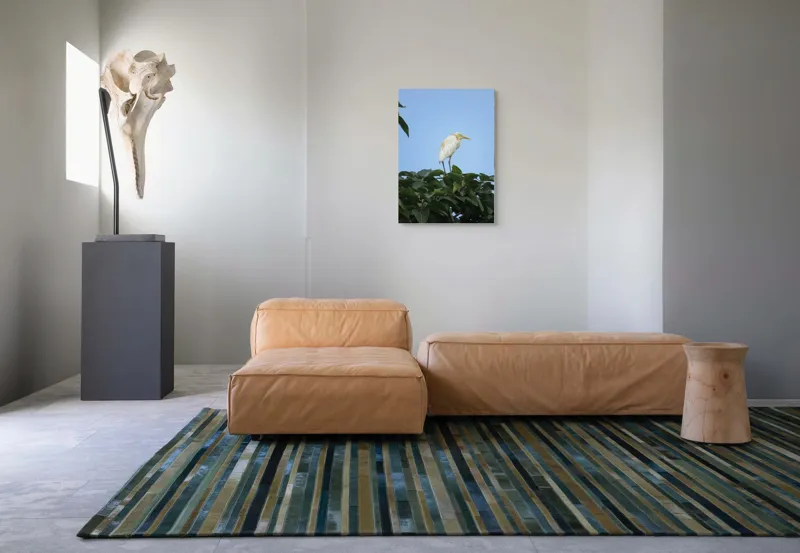 Tablou Canvas, "Egreta pe fondul cerului senin", Pasăre, Frunze, Cer, Albastru, Lumină, Natural, Verde, Galben, Pene, Vârf, 50 x 70 cm – poza 7