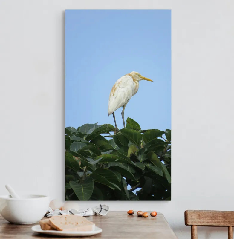 Tablou Canvas, "Egreta pe fondul cerului senin", Pasăre, Frunze, Cer, Albastru, Lumină, Natural, Verde, Galben, Pene, Vârf, 50 x 90 cm – poza 3
