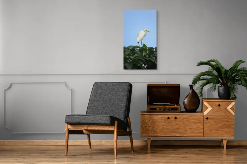 Tablou Canvas, "Egreta pe fondul cerului senin", Pasăre, Frunze, Cer, Albastru, Lumină, Natural, Verde, Galben, Pene, Vârf, 50 x 90 cm – poza 8