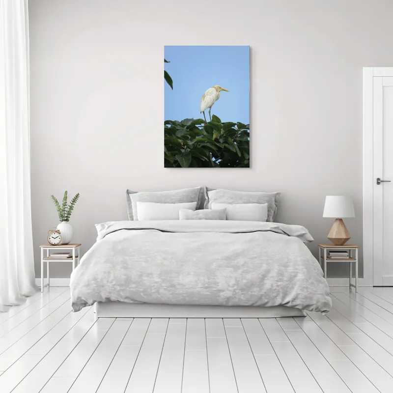 Tablou Canvas, "Egreta pe fondul cerului senin", Pasăre, Frunze, Cer, Albastru, Lumină, Natural, Verde, Galben, Pene, Vârf, 70 x 100 cm – poza 3