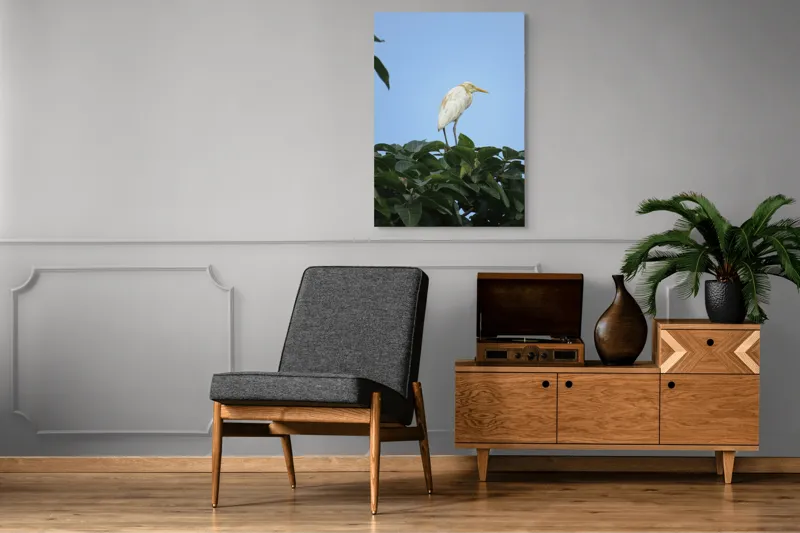 Tablou Canvas, "Egreta pe fondul cerului senin", Pasăre, Frunze, Cer, Albastru, Lumină, Natural, Verde, Galben, Pene, Vârf, 70 x 100 cm – poza 6