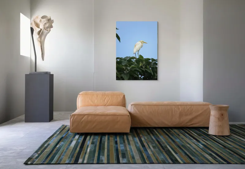 Tablou Canvas, "Egreta pe fondul cerului senin", Pasăre, Frunze, Cer, Albastru, Lumină, Natural, Verde, Galben, Pene, Vârf, 70 x 100 cm – poza 7