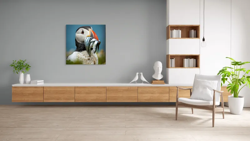 Tablou Canvas, "Puffin cu prada-n cioc strălucitor", Puffin, Colorat, Ocean, Pești, Natură, Cioc, Frumusețe, Viață, Sălbatică, Pene, Albastru, Observare, Vânător, Habitat, Viu, 100 x 100 cm – poza 8