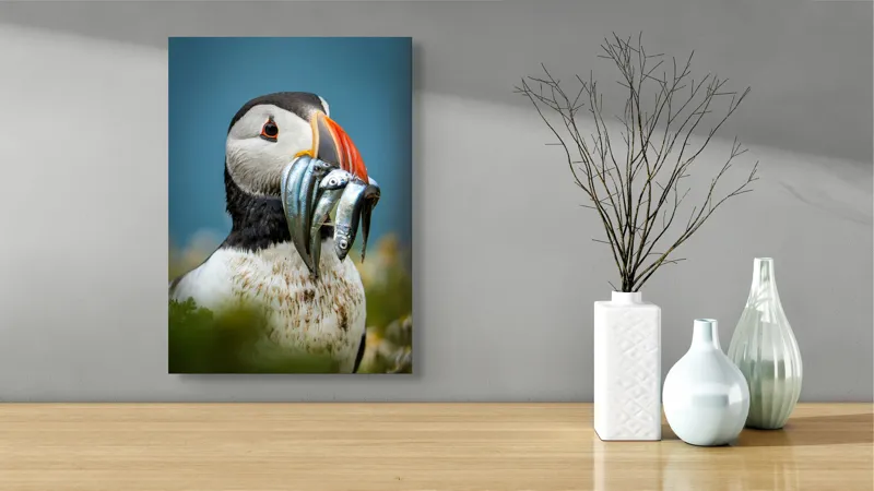 Tablou Canvas, "Puffin cu prada-n cioc strălucitor", Puffin, Colorat, Ocean, Pești, Natură, Cioc, Frumusețe, Viață, Sălbatică, Pene, Albastru, Observare, Vânător, Habitat, Viu, 39 x 54 cm – poza 4