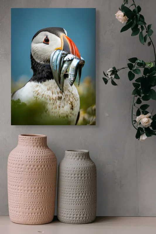 Tablou Canvas, "Puffin cu prada-n cioc strălucitor", Puffin, Colorat, Ocean, Pești, Natură, Cioc, Frumusețe, Viață, Sălbatică, Pene, Albastru, Observare, Vânător, Habitat, Viu, 39 x 54 cm – poza 6
