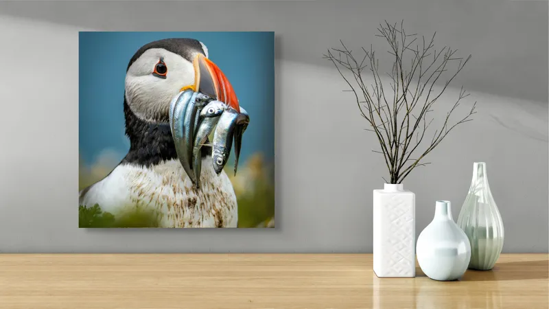 Tablou Canvas, "Puffin cu prada-n cioc strălucitor", Puffin, Colorat, Ocean, Pești, Natură, Cioc, Frumusețe, Viață, Sălbatică, Pene, Albastru, Observare, Vânător, Habitat, Viu, 50 x 50 cm – poza 3