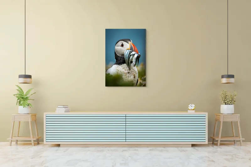 Tablou Canvas, "Puffin cu prada-n cioc strălucitor", Puffin, Colorat, Ocean, Pești, Natură, Cioc, Frumusețe, Viață, Sălbatică, Pene, Albastru, Observare, Vânător, Habitat, Viu, 70 x 100 cm – poza 5