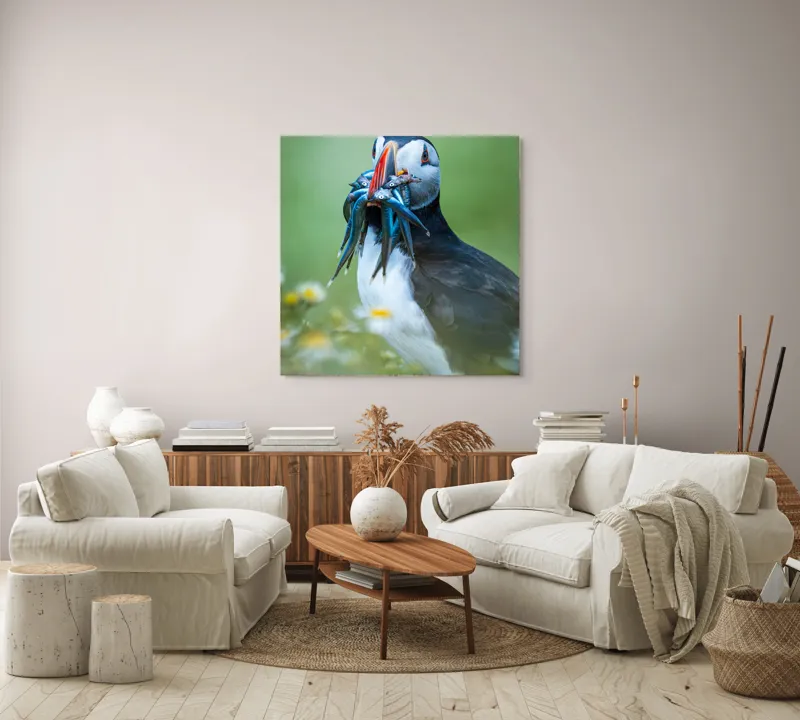 Tablou Canvas, "Puffin cu prada în ciocul colorat", Puffin, Pește, Natură, Viu, Viu, Colorat, Dinamic, Ținută, Pradă, Verde, Claritate, Ochi., 100 x 100 cm – poza 3