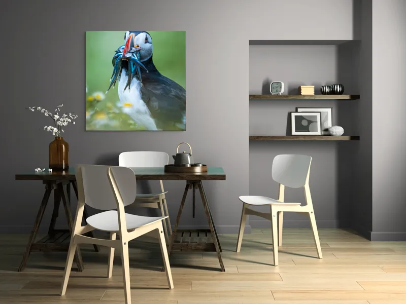 Tablou Canvas, "Puffin cu prada în ciocul colorat", Puffin, Pește, Natură, Viu, Viu, Colorat, Dinamic, Ținută, Pradă, Verde, Claritate, Ochi., 100 x 100 cm – poza 6