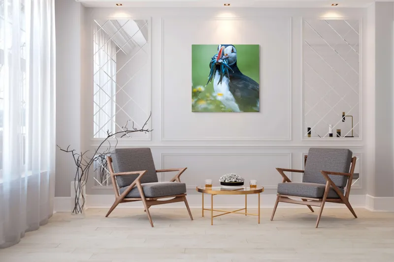 Tablou Canvas, "Puffin cu prada în ciocul colorat", Puffin, Pește, Natură, Viu, Viu, Colorat, Dinamic, Ținută, Pradă, Verde, Claritate, Ochi., 100 x 100 cm – poza 7