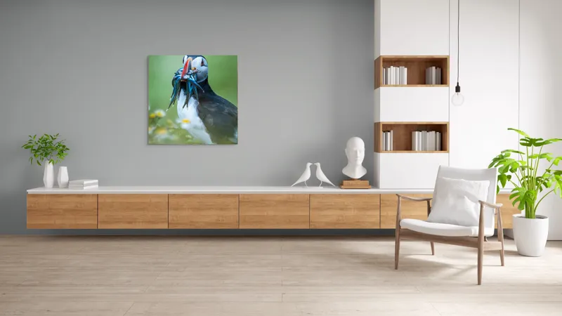 Tablou Canvas, "Puffin cu prada în ciocul colorat", Puffin, Pește, Natură, Viu, Viu, Colorat, Dinamic, Ținută, Pradă, Verde, Claritate, Ochi., 100 x 100 cm – poza 8
