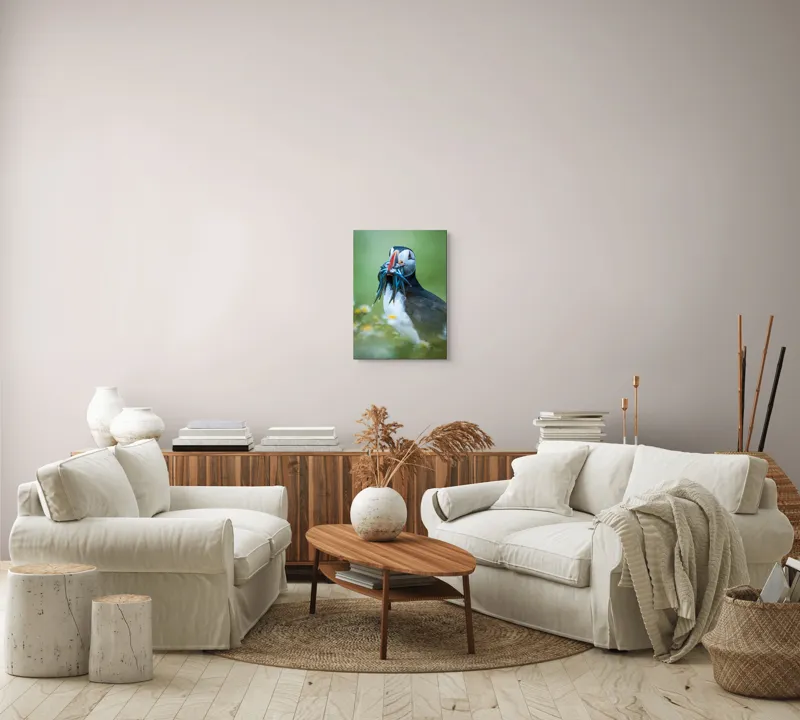 Tablou Canvas, "Puffin cu prada în ciocul colorat", Puffin, Pește, Natură, Viu, Viu, Colorat, Dinamic, Ținută, Pradă, Verde, Claritate, Ochi., 39 x 54 cm – poza 5