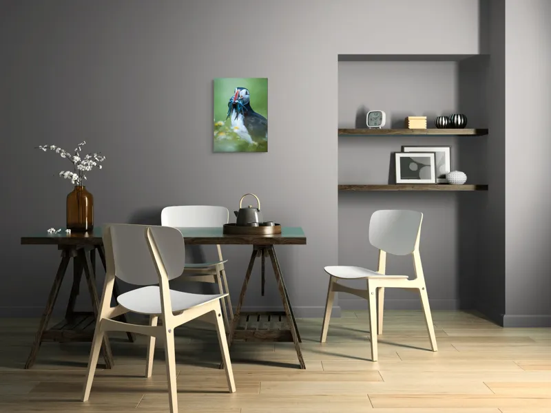 Tablou Canvas, "Puffin cu prada în ciocul colorat", Puffin, Pește, Natură, Viu, Viu, Colorat, Dinamic, Ținută, Pradă, Verde, Claritate, Ochi., 39 x 54 cm – poza 7