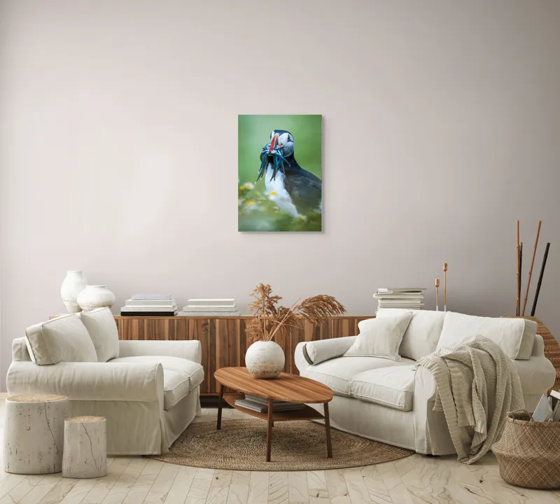 Tablou Canvas, "Puffin cu prada în ciocul colorat", Puffin, Pește, Natură, Viu, Viu, Colorat, Dinamic, Ținută, Pradă, Verde, Claritate, Ochi., 50 x 70 cm – poza 4