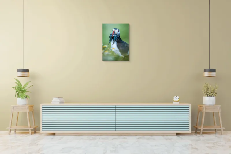 Tablou Canvas, "Puffin cu prada în ciocul colorat", Puffin, Pește, Natură, Viu, Viu, Colorat, Dinamic, Ținută, Pradă, Verde, Claritate, Ochi., 50 x 70 cm – poza 6