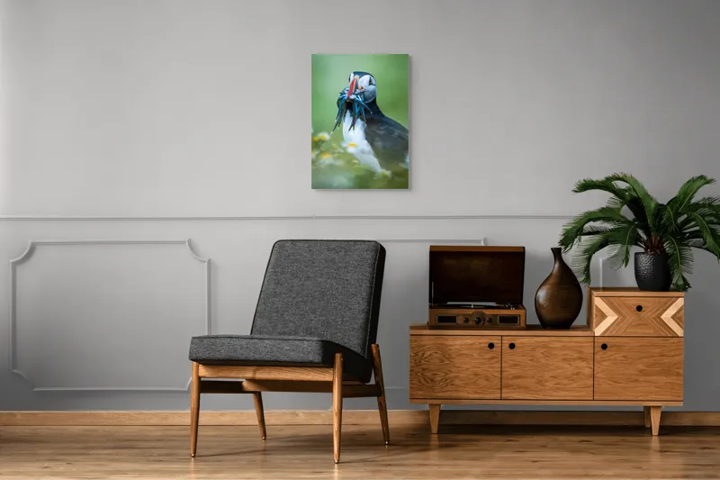 Tablou Canvas, "Puffin cu prada în ciocul colorat", Puffin, Pește, Natură, Viu, Viu, Colorat, Dinamic, Ținută, Pradă, Verde, Claritate, Ochi., 50 x 70 cm – poza 8