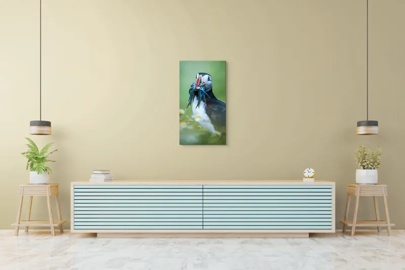 Tablou Canvas, "Puffin cu prada în ciocul colorat", Puffin, Pește, Natură, Viu, Viu, Colorat, Dinamic, Ținută, Pradă, Verde, Claritate, Ochi., 50 x 90 cm – poza 6