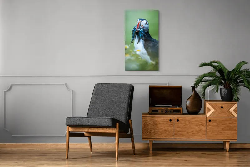 Tablou Canvas, "Puffin cu prada în ciocul colorat", Puffin, Pește, Natură, Viu, Viu, Colorat, Dinamic, Ținută, Pradă, Verde, Claritate, Ochi., 50 x 90 cm – poza 8