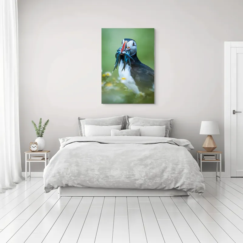 Tablou Canvas, "Puffin cu prada în ciocul colorat", Puffin, Pește, Natură, Viu, Viu, Colorat, Dinamic, Ținută, Pradă, Verde, Claritate, Ochi., 70 x 100 cm – poza 3
