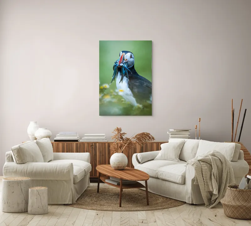 Tablou Canvas, "Puffin cu prada în ciocul colorat", Puffin, Pește, Natură, Viu, Viu, Colorat, Dinamic, Ținută, Pradă, Verde, Claritate, Ochi., 70 x 100 cm – poza 4