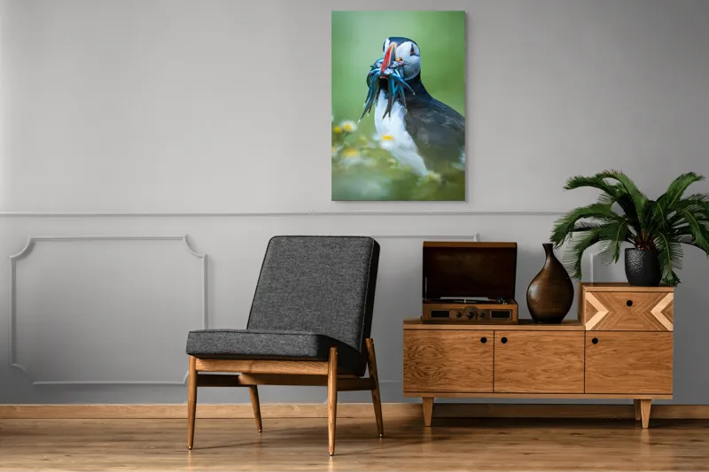 Tablou Canvas, "Puffin cu prada în ciocul colorat", Puffin, Pește, Natură, Viu, Viu, Colorat, Dinamic, Ținută, Pradă, Verde, Claritate, Ochi., 70 x 100 cm – poza 6
