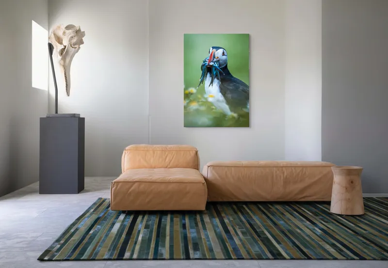 Tablou Canvas, "Puffin cu prada în ciocul colorat", Puffin, Pește, Natură, Viu, Viu, Colorat, Dinamic, Ținută, Pradă, Verde, Claritate, Ochi., 70 x 100 cm – poza 7