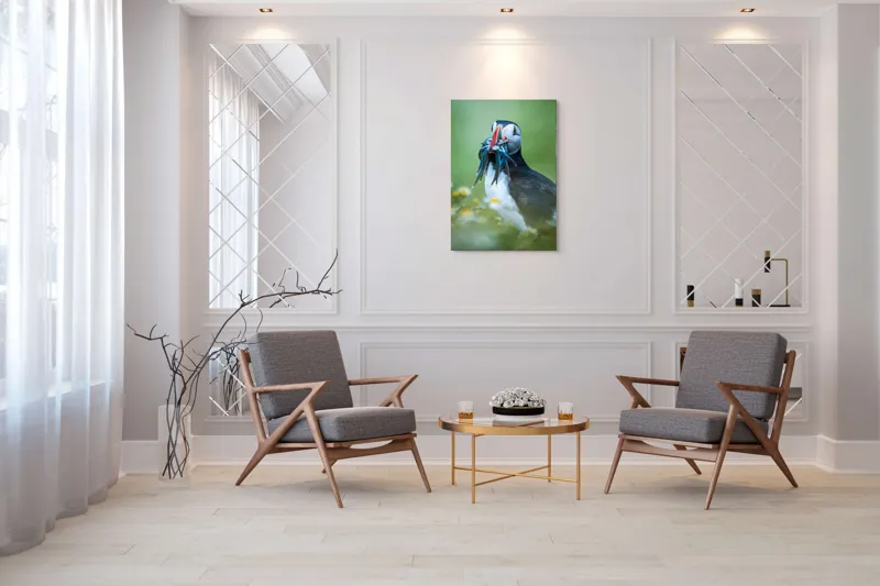 Tablou Canvas, "Puffin cu prada în ciocul colorat", Puffin, Pește, Natură, Viu, Viu, Colorat, Dinamic, Ținută, Pradă, Verde, Claritate, Ochi., 70 x 100 cm – poza 8