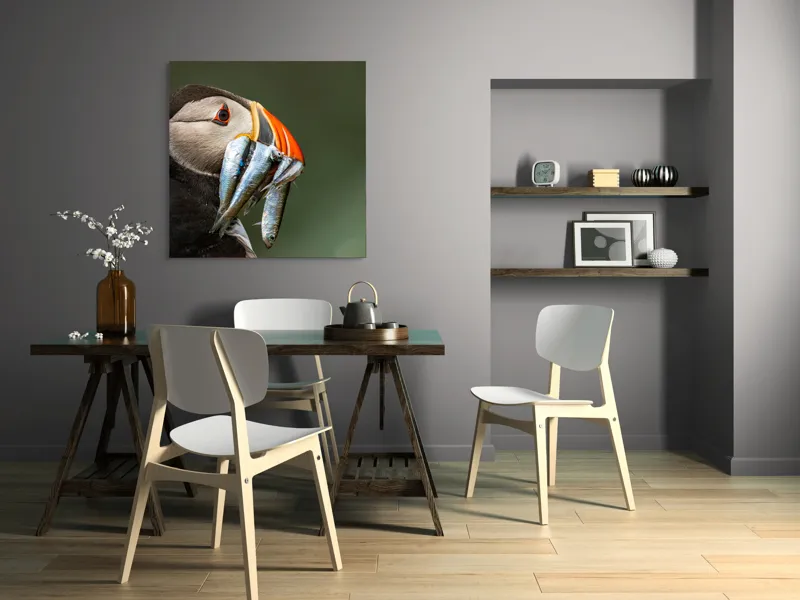 Tablou Canvas, "Papagalul arctic și prada sa argintie", Pasăre, Clovn, Portocaliu, Pești, Natură, Balanță, Prindere, Detaliu, Ochi, Faună, 100 x 100 cm – poza 6