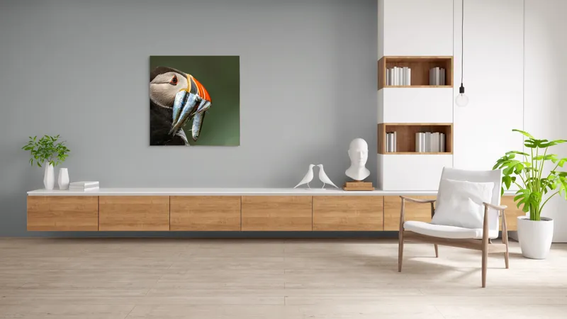Tablou Canvas, "Papagalul arctic și prada sa argintie", Pasăre, Clovn, Portocaliu, Pești, Natură, Balanță, Prindere, Detaliu, Ochi, Faună, 100 x 100 cm – poza 8