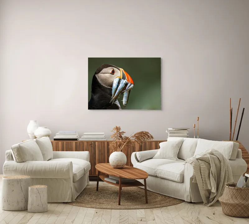 Tablou Canvas, "Papagalul arctic și prada sa argintie", Pasăre, Clovn, Portocaliu, Pești, Natură, Balanță, Prindere, Detaliu, Ochi, Faună, 100 x 70 cm – poza 3