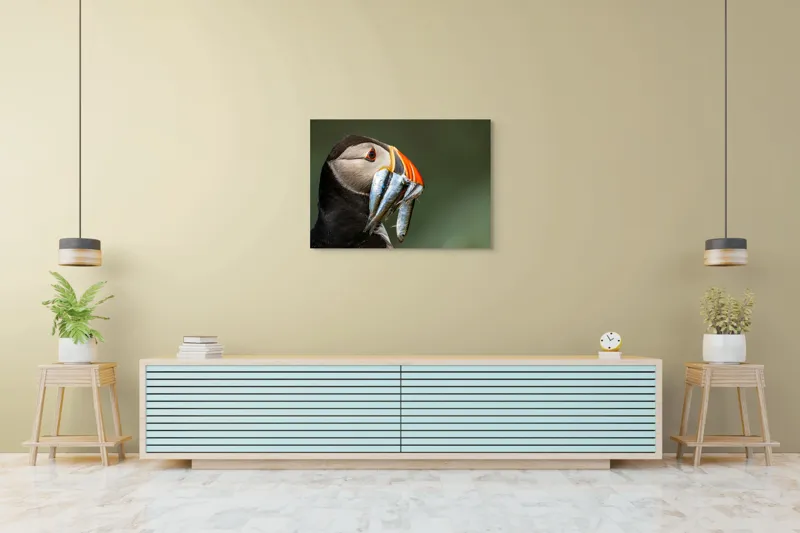 Tablou Canvas, "Papagalul arctic și prada sa argintie", Pasăre, Clovn, Portocaliu, Pești, Natură, Balanță, Prindere, Detaliu, Ochi, Faună, 100 x 70 cm – poza 4
