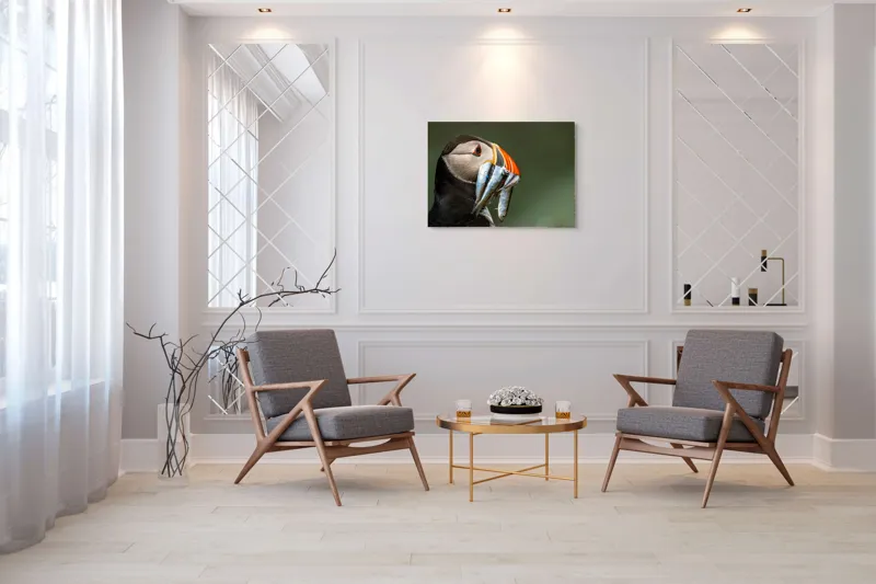 Tablou Canvas, "Papagalul arctic și prada sa argintie", Pasăre, Clovn, Portocaliu, Pești, Natură, Balanță, Prindere, Detaliu, Ochi, Faună, 100 x 70 cm – poza 5